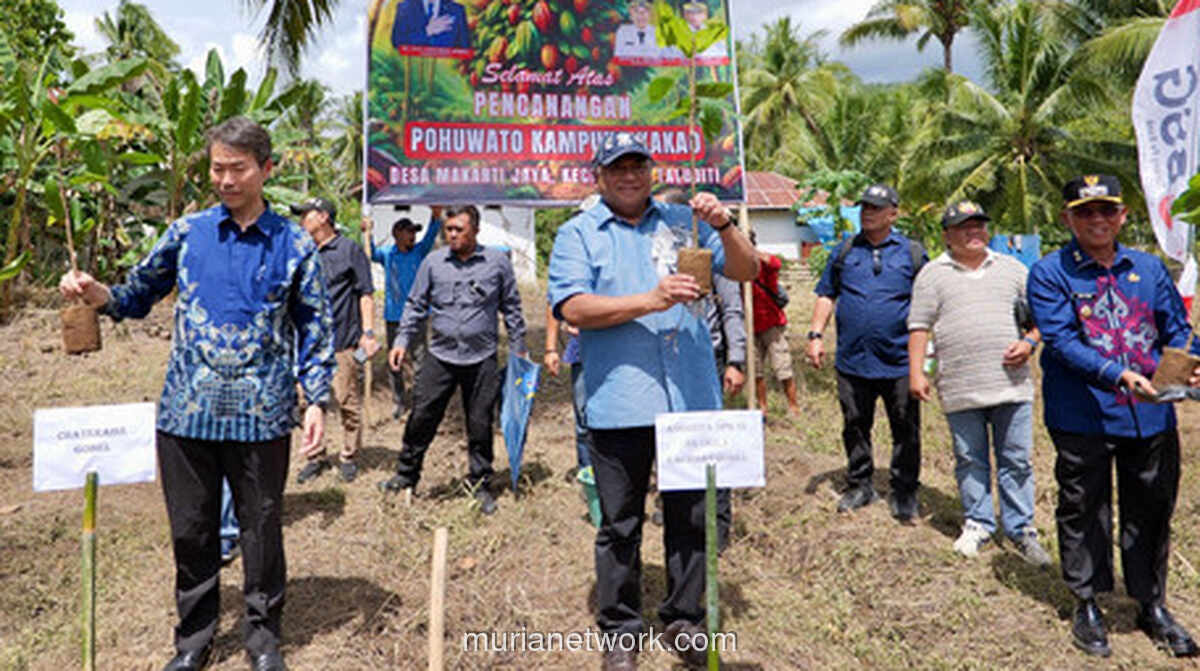 Petani Kakao Pohuwato Sambut Langsung Pembeli dari Jepang