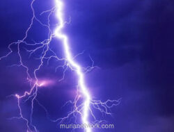 Sambaran Petir di Pondok Sawit, Seorang Pekerja Tewas Saat Isi Daya Ponsel