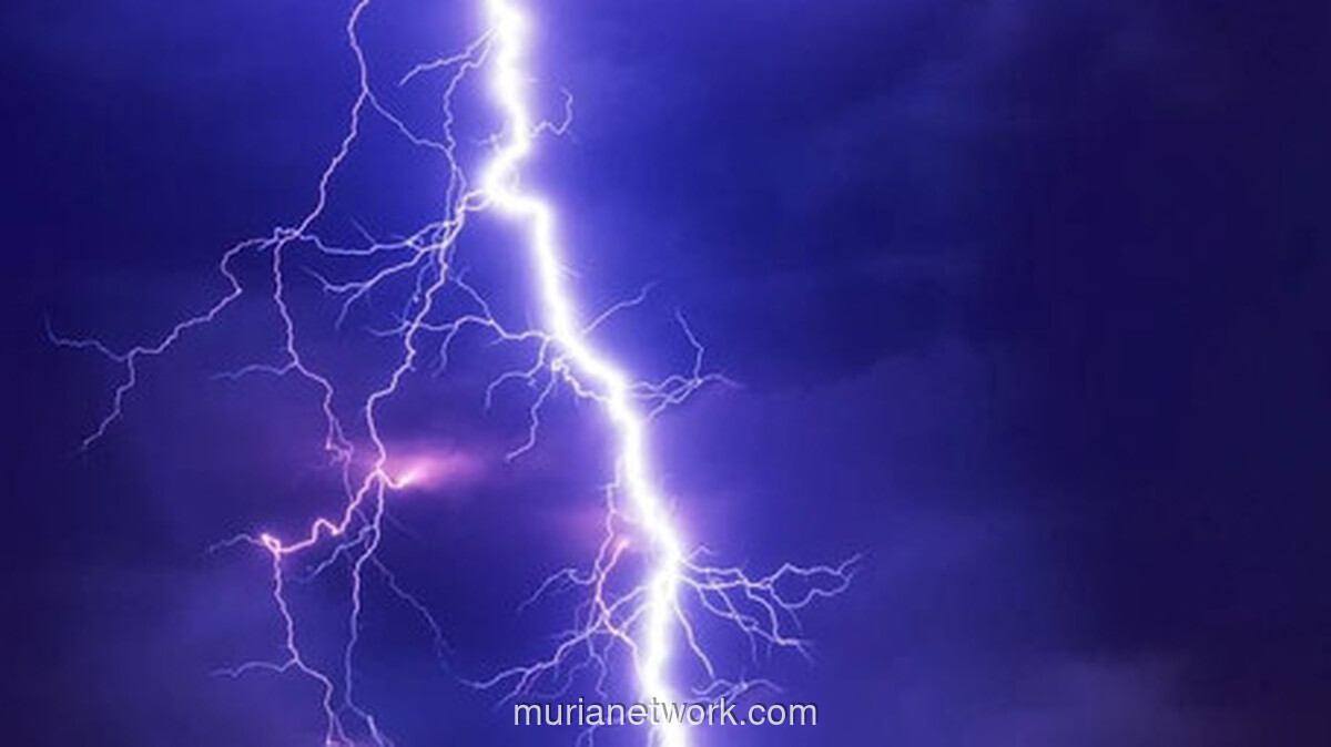 Sambaran Petir di Pondok Sawit, Seorang Pekerja Tewas Saat Isi Daya Ponsel