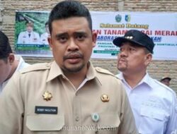 Dewas KPK Periksa Penyidik Kasus Korupsi Jalan Sumut, Pamungkas Bobby Nasution?
