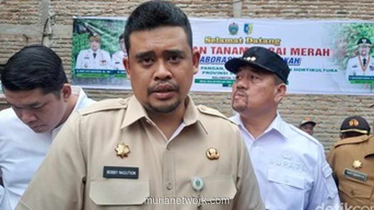 Dewas KPK Periksa Penyidik Kasus Korupsi Jalan Sumut, Pamungkas Bobby Nasution?