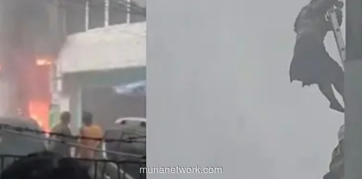 Kebakaran Terra Drone: Api yang Membakar Jejak, Mengamankan Lahan?