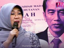 Transparansi Ijazah Jokowi Dipertanyakan, Pola Penanganan Dinilai Mirip Dokumen Bermasalah