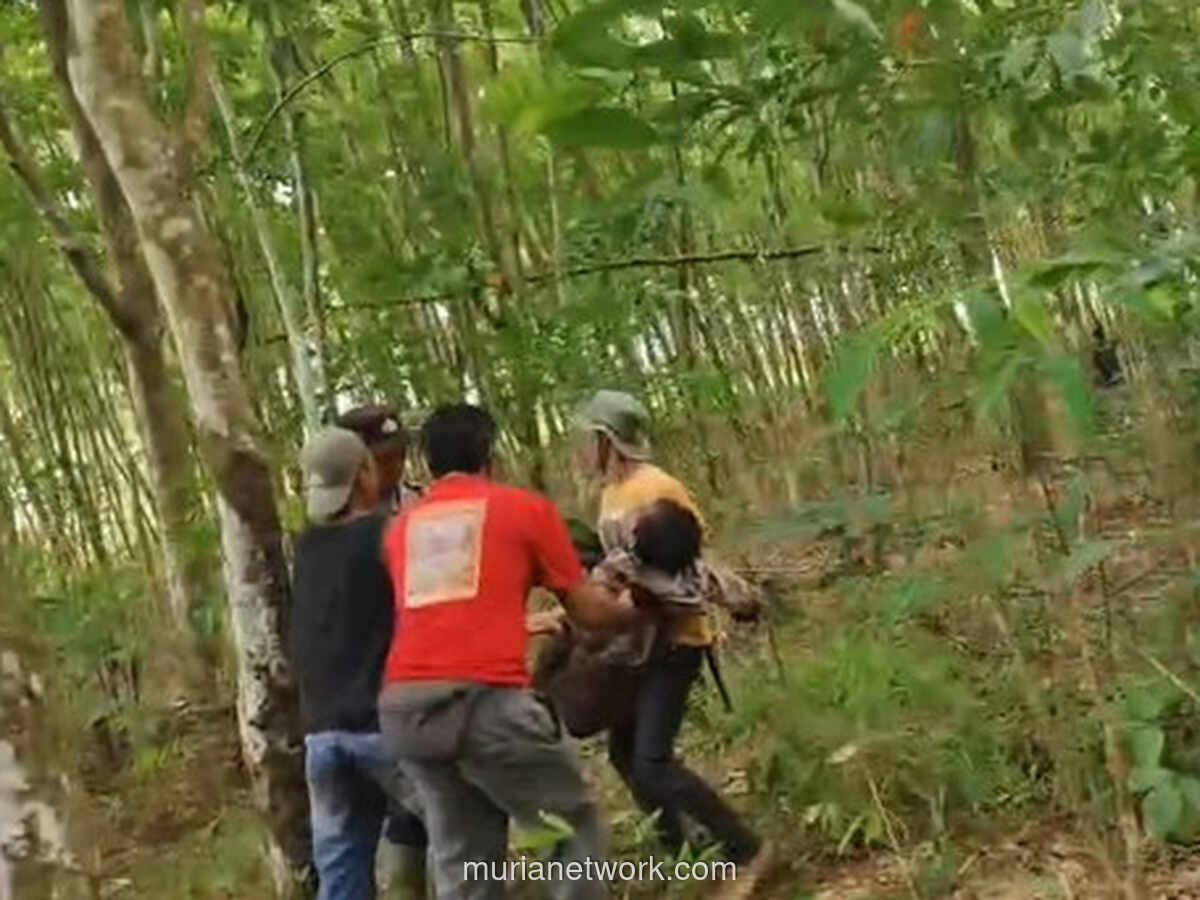 Kepala Desa Braja Asri Tewas Diterjang Gajah Saat Upaya Penggiringan