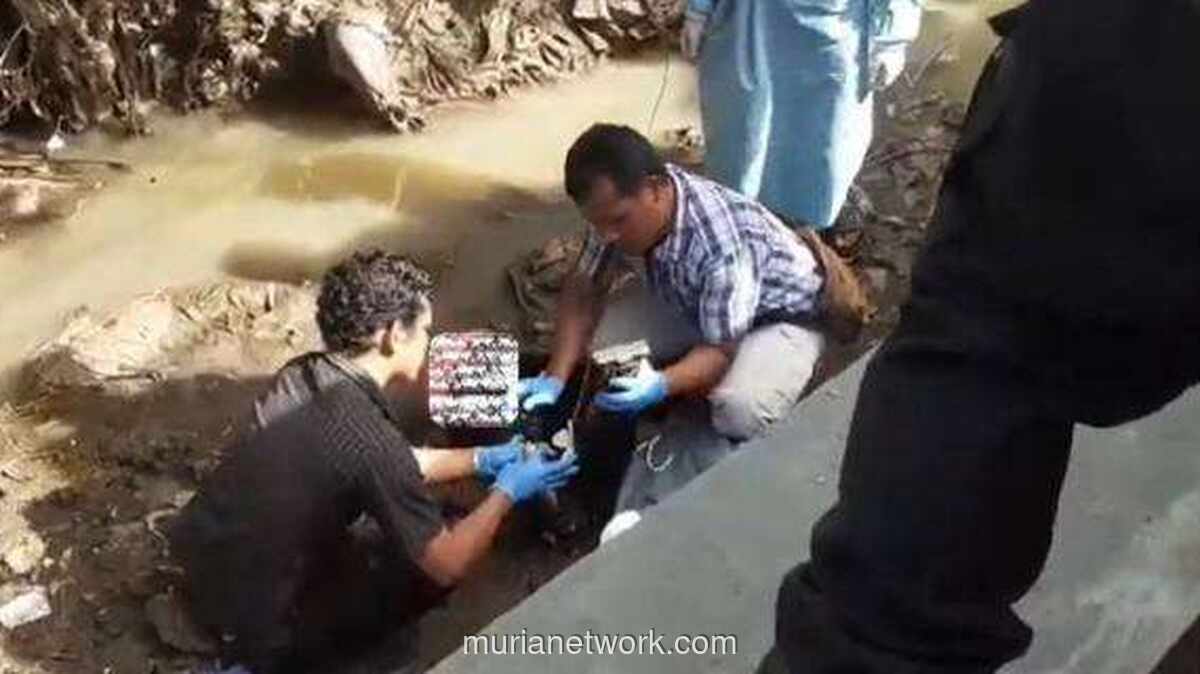 Oknum Polisi dan Rekan Ditangkap, Diduga Cekik Mahasiswi UMM