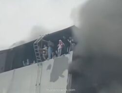 Keputusan Naik ke Atap Selamatkan 19 Karyawan Terra Drone dari Kobaran Api