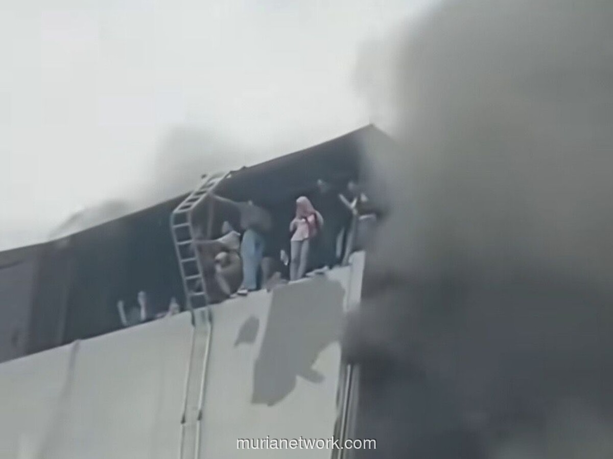 Keputusan Naik ke Atap Selamatkan 19 Karyawan Terra Drone dari Kobaran Api