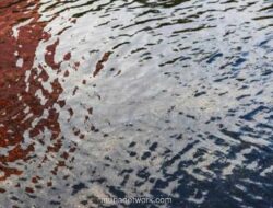 15 RT di Jakarta Timur Tergenang, Air Capai 80 Sentimeter