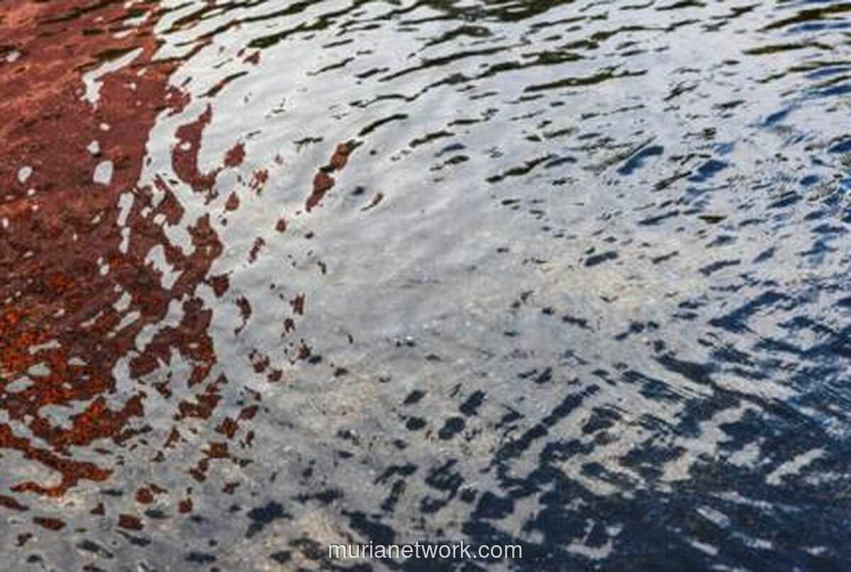 15 RT di Jakarta Timur Tergenang, Air Capai 80 Sentimeter