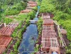 Polisi Gagalkan Ratusan Kubik Kayu Meranti Ilegal di Hutan Riau