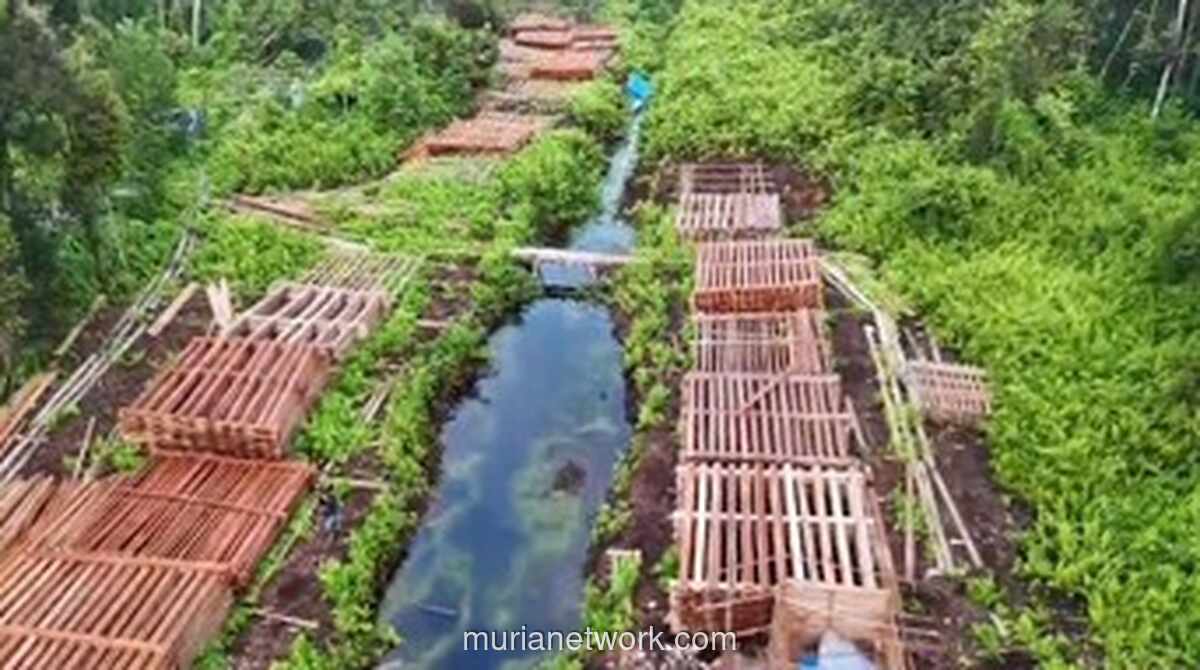 Polisi Gagalkan Ratusan Kubik Kayu Meranti Ilegal di Hutan Riau