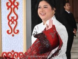 Dolfie Palit Resmi Pimpin PDIP Jateng, Dapat Mandat Langsung dari Megawati