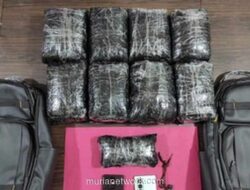 47.000 Butir Ekstasi Senilai Rp14,1 Miliar Digagalkan di Riau, 4 Kurir Diciduk