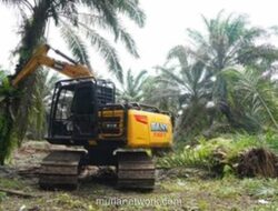 Restorasi Tesso Nilo Dimulai, Sawit Tumbang dan Warga Serahkan Lahan