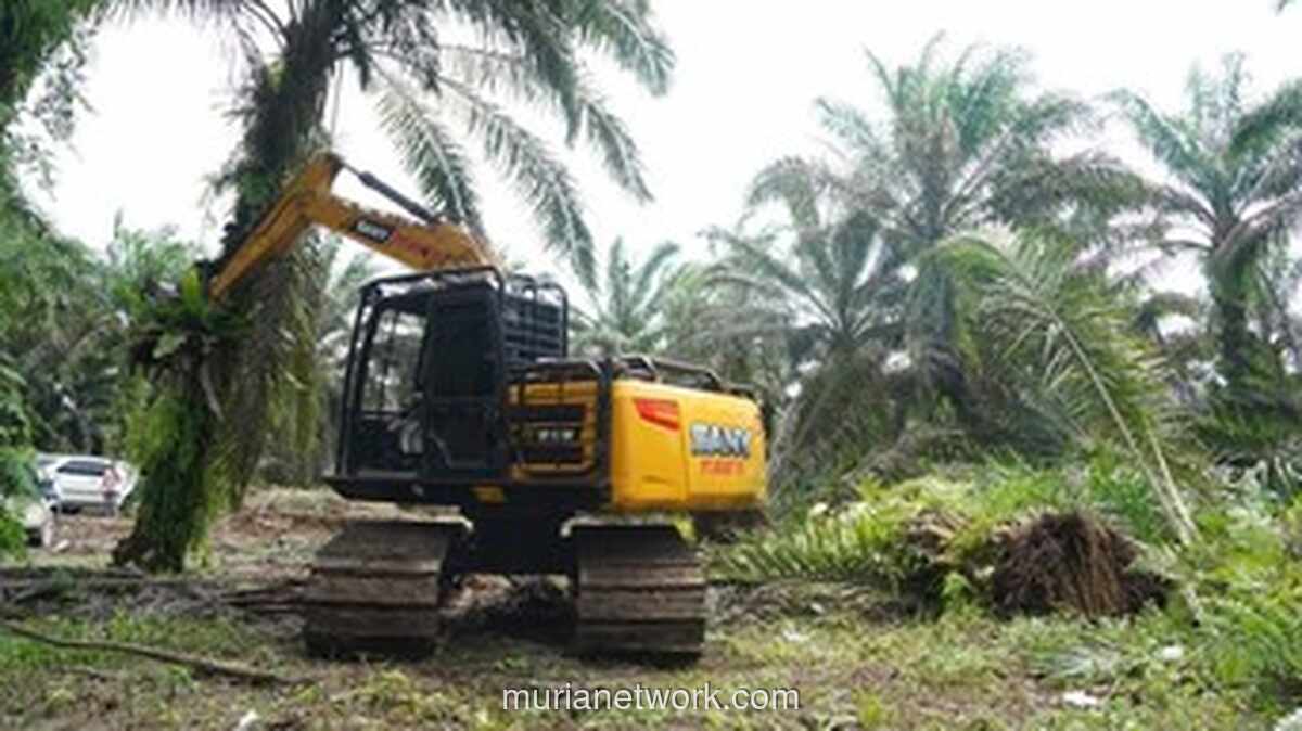 Restorasi Tesso Nilo Dimulai, Sawit Tumbang dan Warga Serahkan Lahan