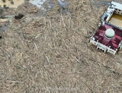 Prabowo Tanya Aramco, Maruli Jelaskan Strategi Darurat Perbaiki 318 Jembatan