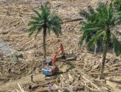 Korban Tewas Bencana Sumatera Tembus 1.140 Jiwa, Pencarian Masih Berlanjut
