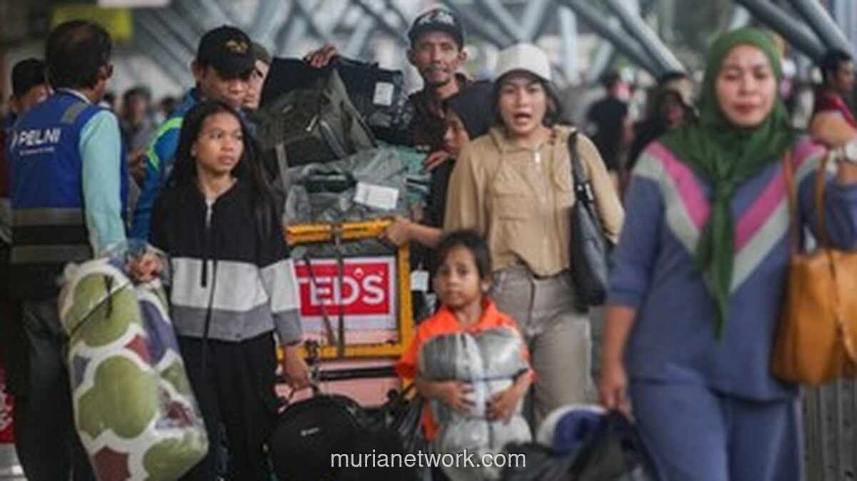 Kuota Diskon Tiket Pelni Tersisa 32%, Masyarakat Diminta Tak Tunda Lagi