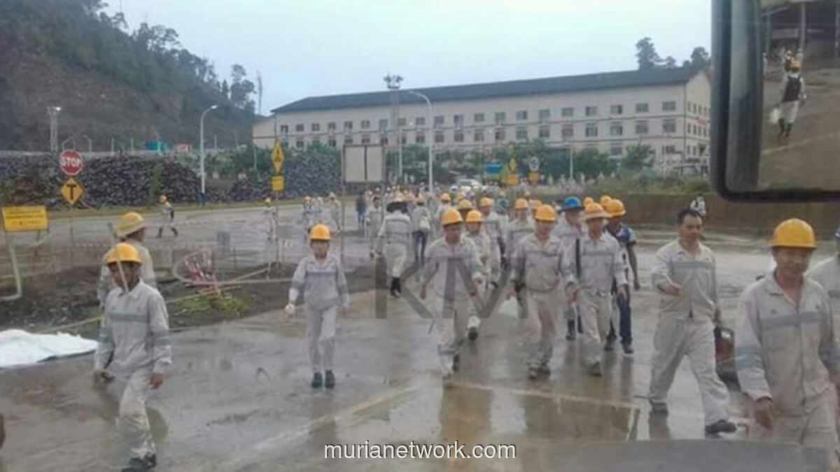 Tukang Sapu Asal China di Morowali Digaji Rp18 Juta Sebulan, Ternyata Ini Alasannya