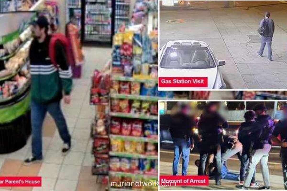 Tragedi Brentwood: Putra Sutradara Rob Reiner Jadi Tersangka Pembunuhan Orang Tua