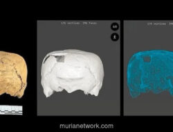 Tengkorak Berbentuk Kubus Ditemukan di Meksiko, Ungkap Teknik Modifikasi Kepala yang Langka