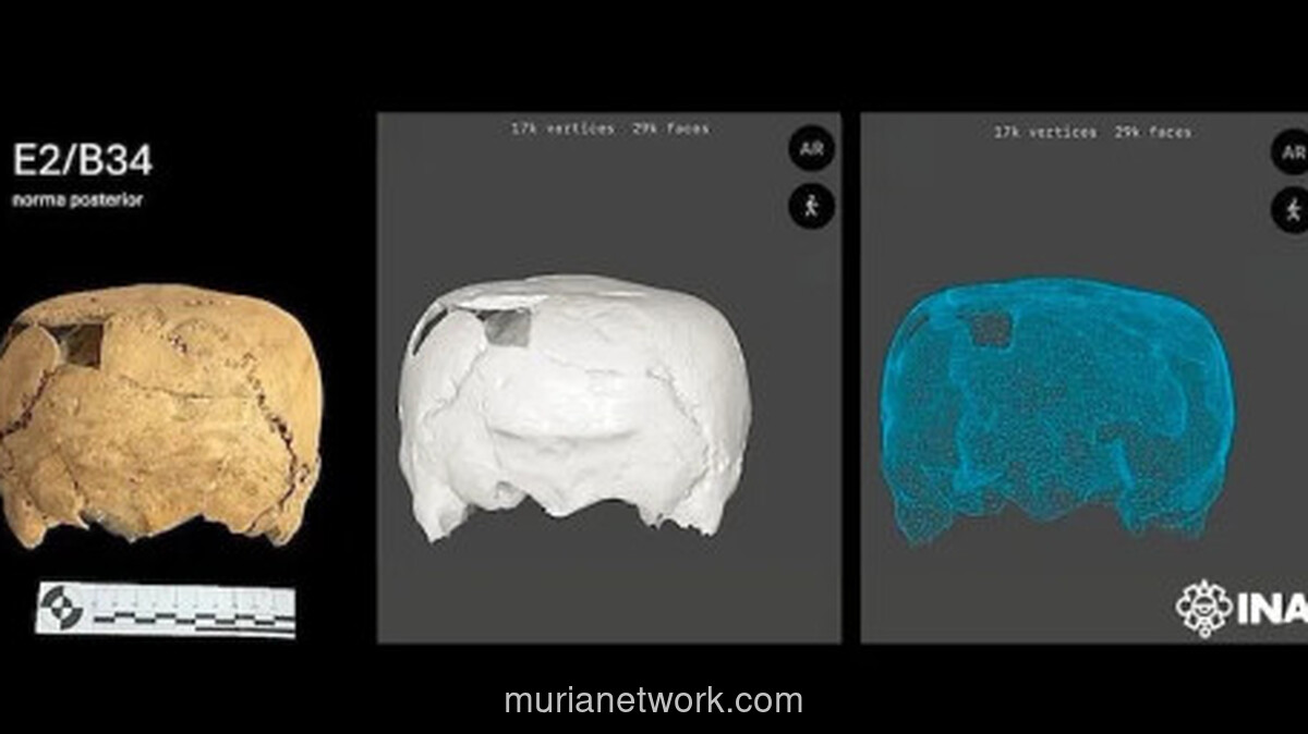 Tengkorak Berbentuk Kubus Ditemukan di Meksiko, Ungkap Teknik Modifikasi Kepala yang Langka