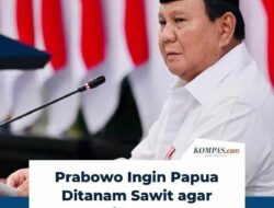 Prabowo dan Wacana Sawit Papua: Siapa yang Untung Saat Hutan Terakhir Tumbang?