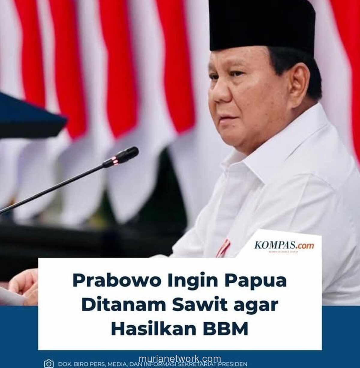Prabowo dan Wacana Sawit Papua: Siapa yang Untung Saat Hutan Terakhir Tumbang?