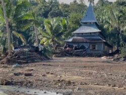 Doa Semut dan Renungan tentang Kerusakan Alam: Ketika Makhluk Lain Mengadu pada Sang Pencipta