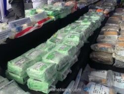 Ganja dari Amerika dan 137 Kilogram di Karo: Jejak Sepuluh Kasus Narkoba yang Dibongkar BNN