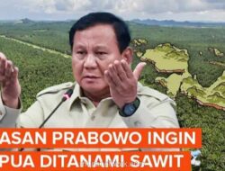 WALHI Soroti Wacana Ekspansi Sawit di Papua: Mengulang Bencana Sumatera?