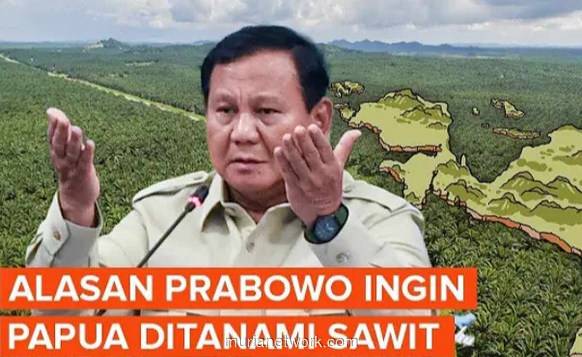 WALHI Soroti Wacana Ekspansi Sawit di Papua: Mengulang Bencana Sumatera?