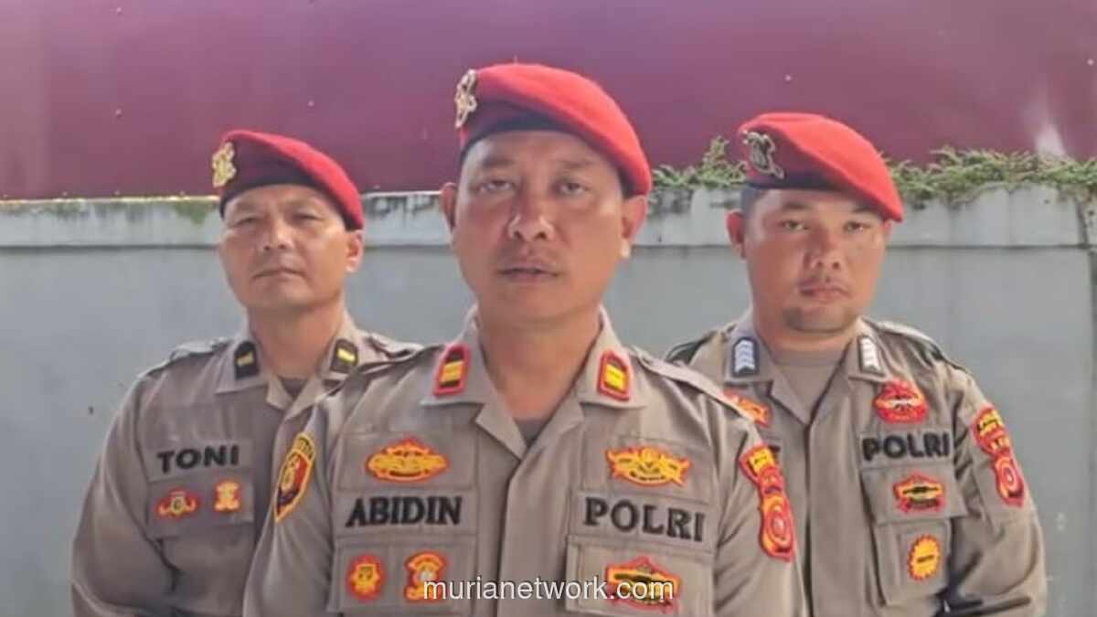 Tragedi di Pegunungan Gayo: Dua Penderes Pinus Ditemukan Tewas dengan Luka Senjata Tajam