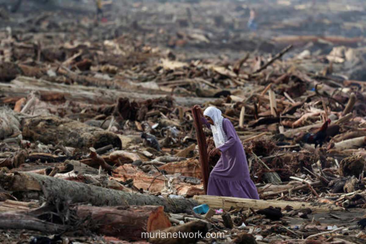Banjir Bandang Sumatera: Gelondongan Kayu dan Tanda Tanya Pembalakan Liar