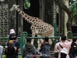 Ragunan Buka Lebih Awal dan Tutup Lebih Sore Saat Libur Nataru