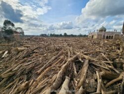 Gelondongan Ilegal di Tengah Banjir: Warga Terjepit, Negara Terlambat