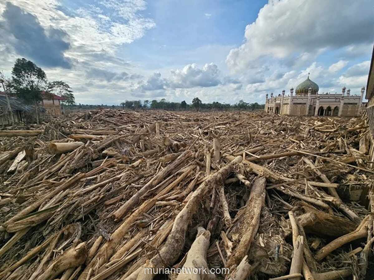 Gelondongan Ilegal di Tengah Banjir: Warga Terjepit, Negara Terlambat