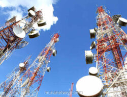 TOWR Siap Bagikan Dividen Rp6,87 per Saham Jelang Akhir Tahun