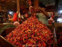 Harga Pangan Turun Merata, Cabai Rawit dan Ikan Laut Jadi Pengecualian