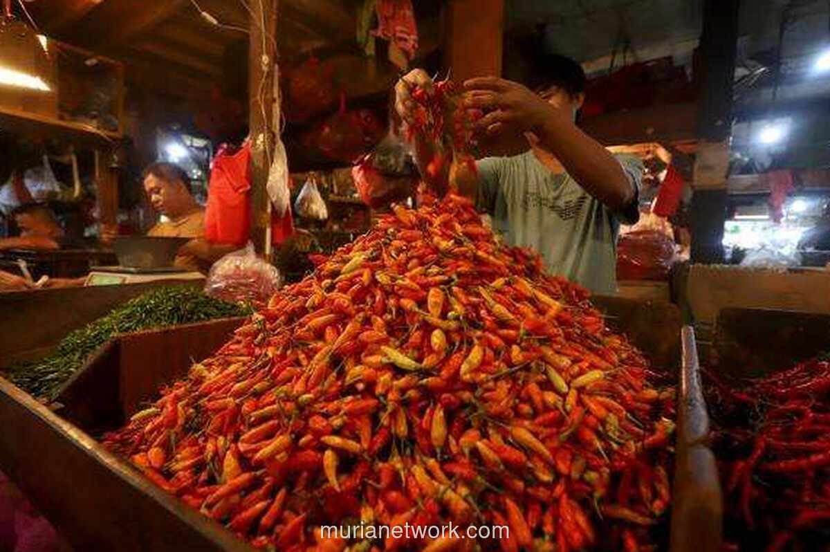 Harga Pangan Turun Merata, Cabai Rawit dan Ikan Laut Jadi Pengecualian