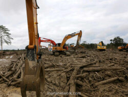Bupati Aceh Tamiang Minta Fatwa Menteri Soal Nasib Kayu Banjir