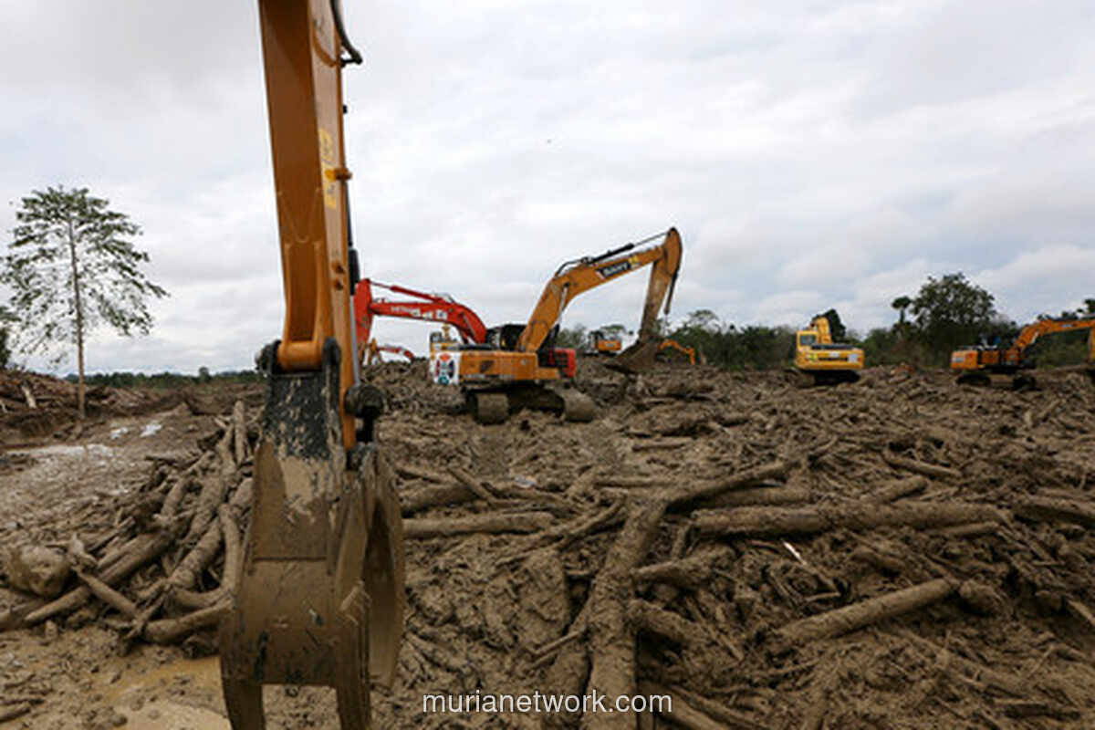 Bupati Aceh Tamiang Minta Fatwa Menteri Soal Nasib Kayu Banjir