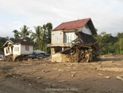 Banjir Sumatera Hancurkan 4.500 Hektare Sawah, Kementan Siapkan Bantuan