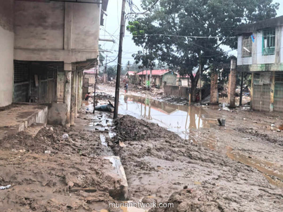Aceh Tamiang: Seminggu Usai Banjir Bandang, Kehidupan Masih Terendam Lumpur