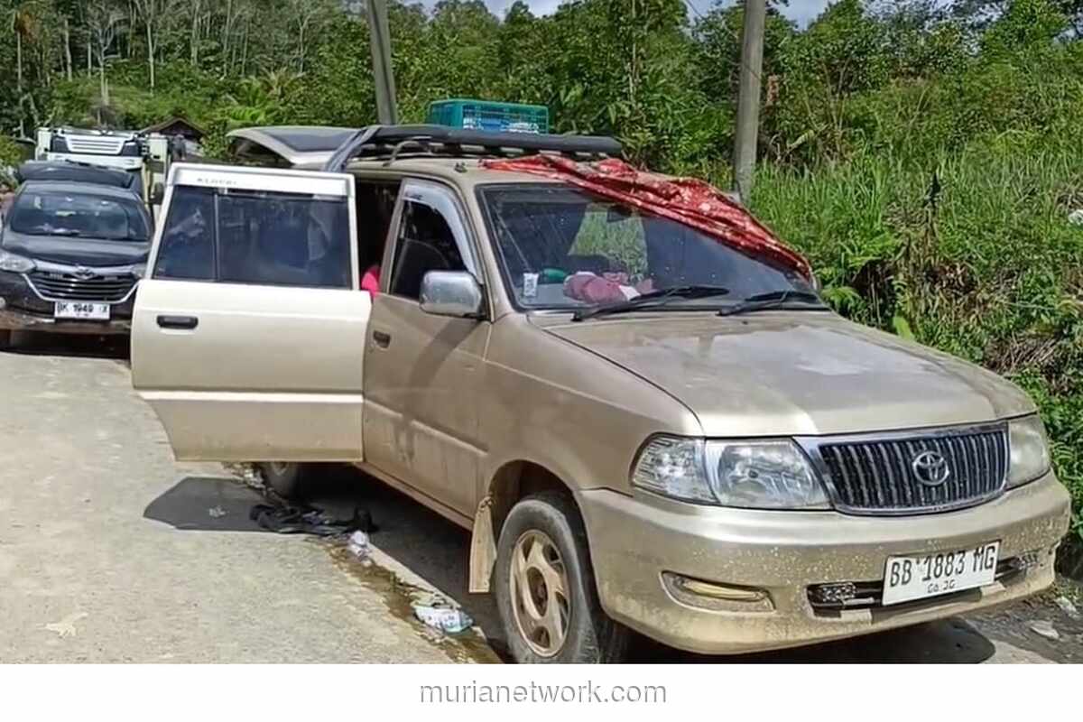 Enam Hari Terjebak Longsor, Keluarga Ini Bertahan Hidup di Dalam Mobil
