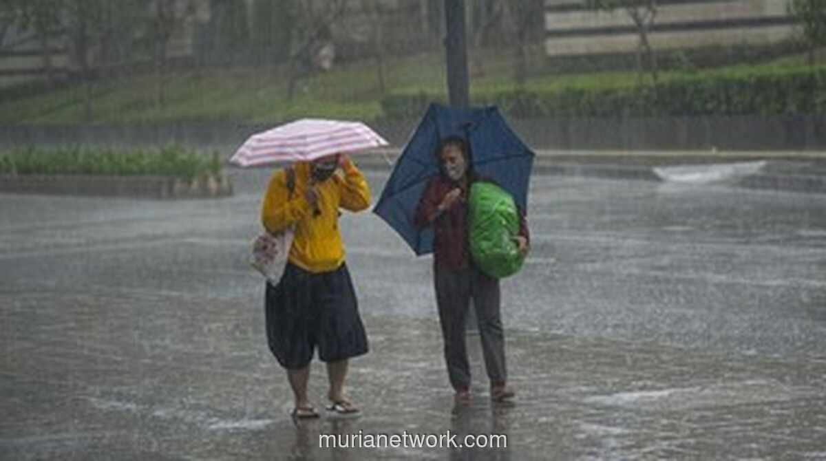 Waspada Hujan dan Angin Kencang, BPBD DKI Imbau Warga Jakarta Siaga Hingga Akhir Tahun
