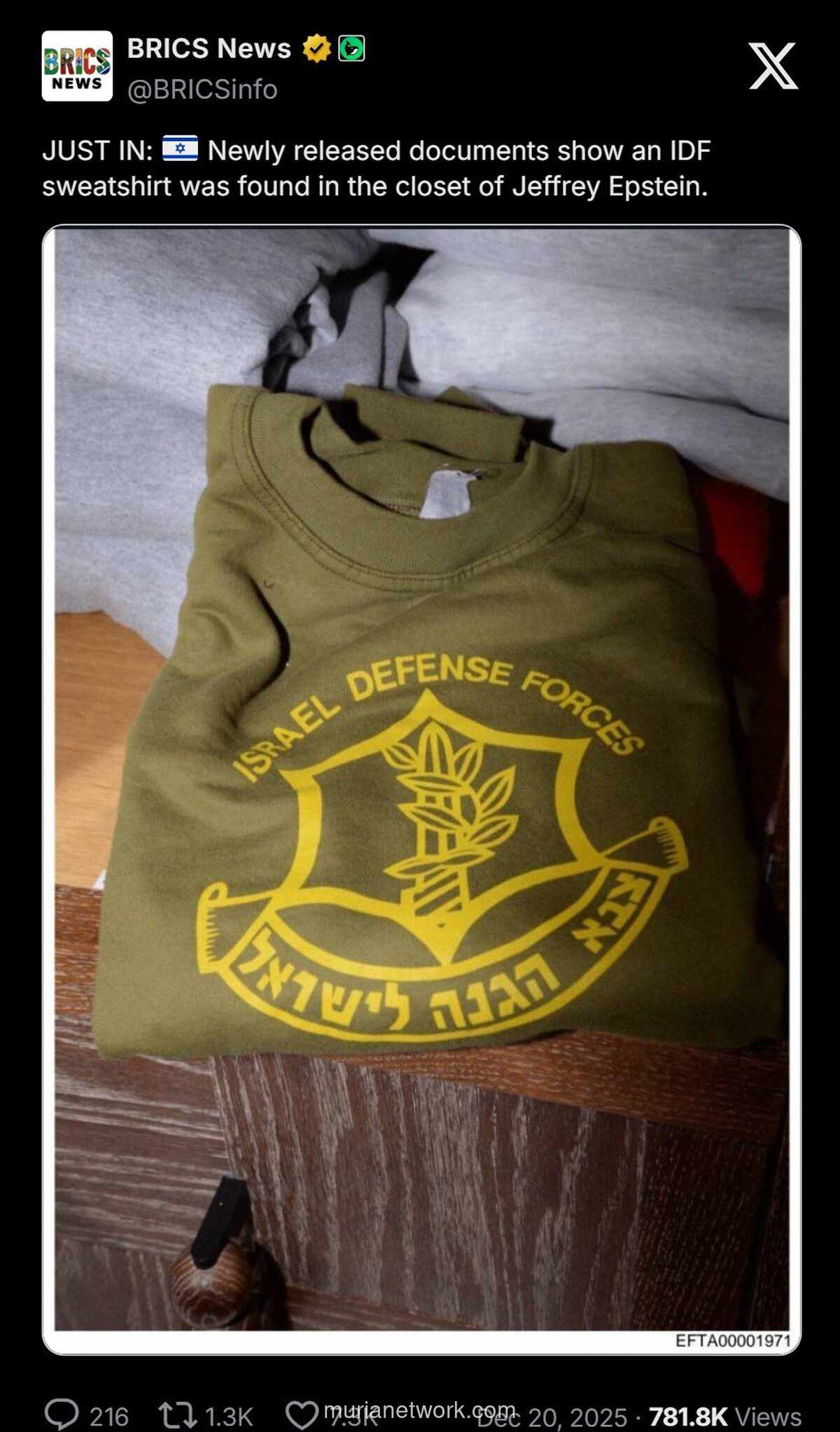 Sweter IDF di Lemari Epstein: Potongan Puzzle yang Menyulut Spekulasi Baru