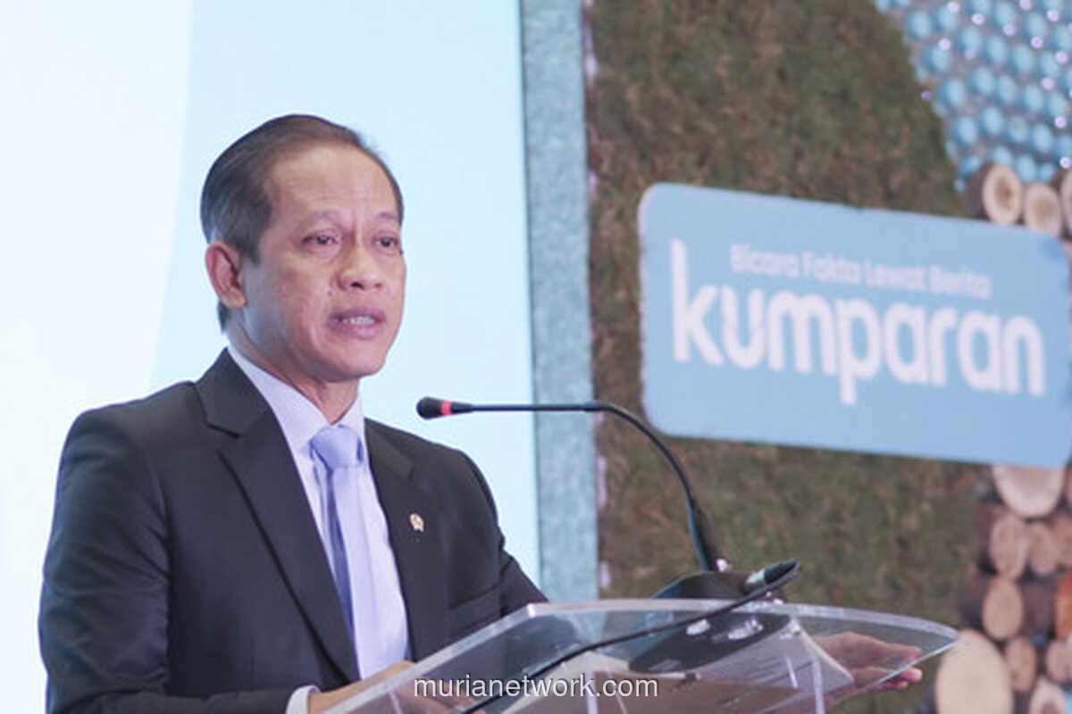 Menteri Lingkungan Hidup Usul Kayu Gelondongan Banjir Dimanfaatkan, Sinyalir Limbah Tambang