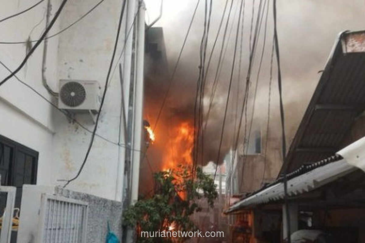 Kobaran Api Hanguskan Rumah di Jelambar, 95 Personel Dikerahkan