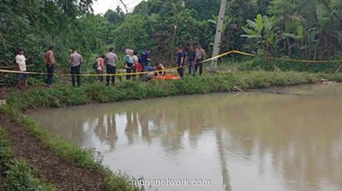 Bayi Perempuan Ditemukan Tewas Mengambang di Empang Bogor